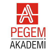 Pegem Akademi 